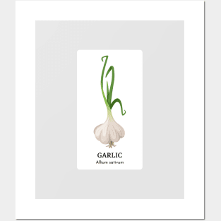 I Love Garlic Posters and Art